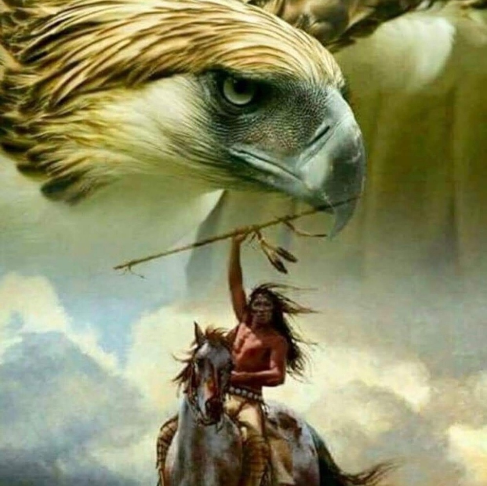 Meet your Posher, Pennie